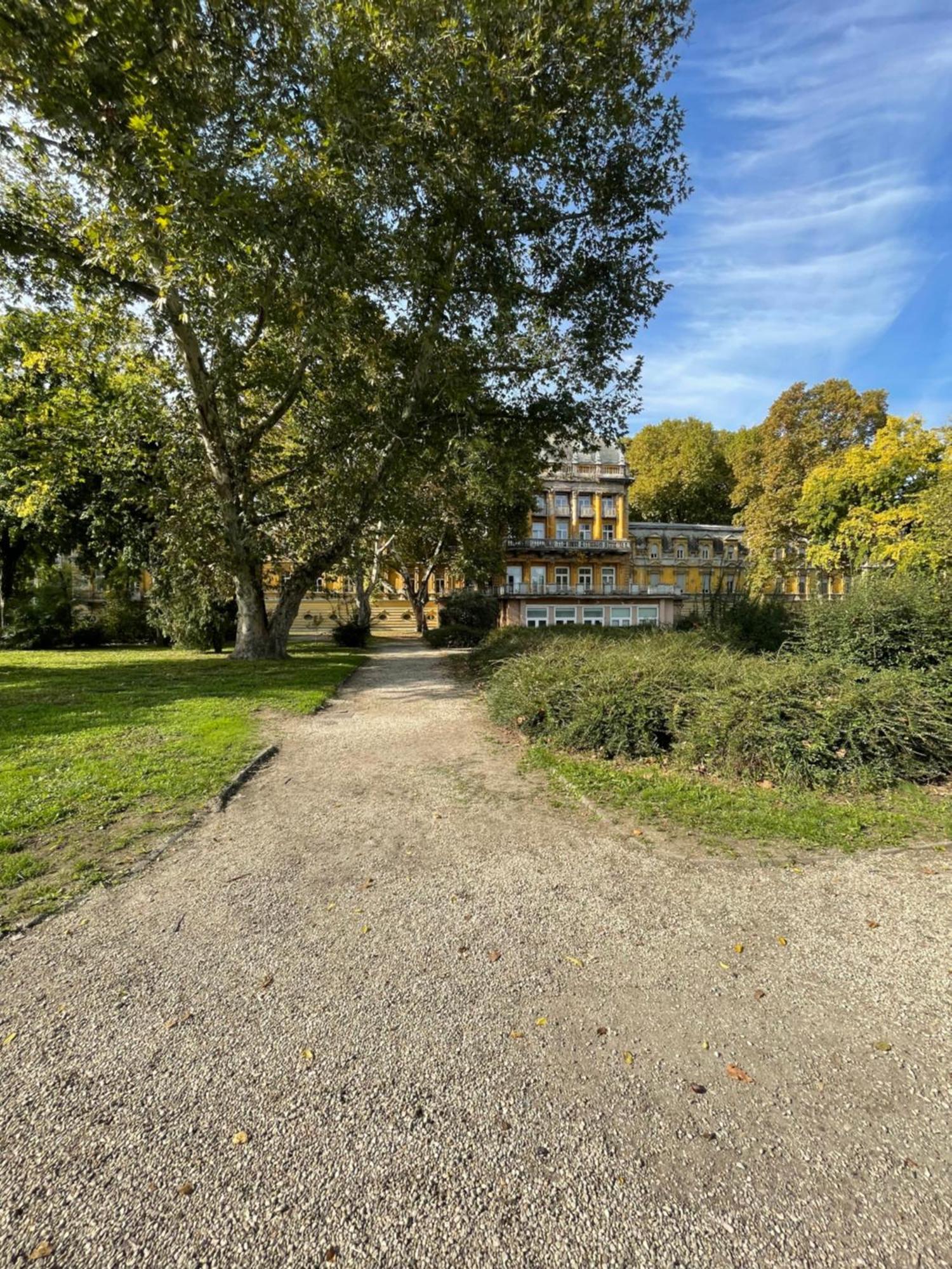 Margaret Apartment Next To The Lukacs Spa With Panorama Danube Budapest Eksteriør bilde